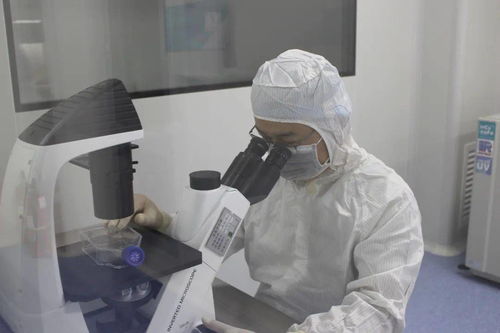 諾未科技 生命科學研究再創新，生物技術研發新突破
